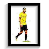 Watford | Troy Deeney Art Print