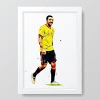 Watford | Troy Deeney Art Print