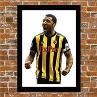 WATFORD - TROY DEENEY.