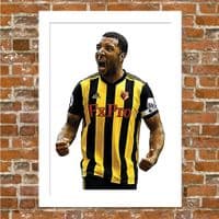 WATFORD - TROY DEENEY.