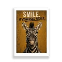 Zebra Humour | Smile. It Confuses People