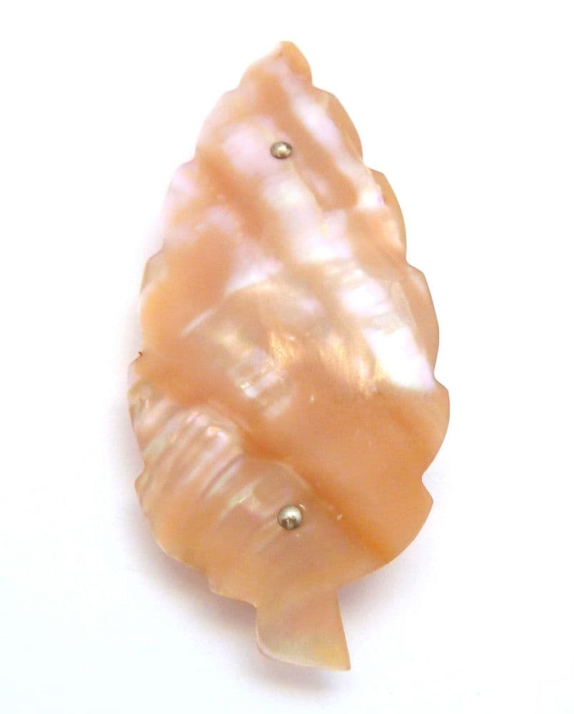 Ancienne Broche Fine En Forme De Crevette Ou Moule En Nacre (mother Of Pearl) - Style Dunkerque - Occasion Bon état