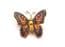 Collection Of Three Enamel Butterfly Design Retro Brooches
