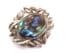 Vintage Abalone Shell And Ornately Bordered Brooch.