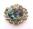Vintage Abalone Shell And Ornately Bordered Brooch.