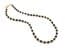 Vintage Black Glass French Jet And Gold Seed Bead Choker Necklace