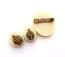 Vintage Celluloid Cameo Design Clip On Earring And Brooch Jewellery Set