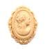 Vintage Celluloid Early Plastic Cameo Design Brooch