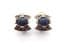 Vintage Celtic Scottish Style Faux Blue Gem Set Clip On Earrings And Adjustable Ring Jewellery Set