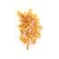 Vintage Cherry Tree Leaf And Berries Design Brooch By Exquisite