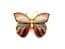 Vintage Cloisonne Enamel Butterfly Design Brooch