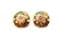 Vintage Cloisonne Enamel Floral Design Earrings