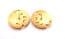 Vintage Cloisonne Enamel Floral Design Earrings
