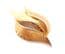 Vintage Coro Textured Golden Leaves Naturalistic Design Leaf Brooch