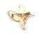 Vintage Enamel And Faux Marcasite Bird In Flight Design Brooch