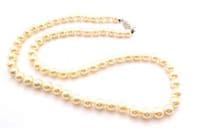 Vintage Faux Pearl Short Length Necklace With Rhinestone Detailed Clasp