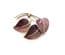 Vintage Hans Myhre Scandinavian Sterling Silver And Purple  Enamel Triple Leaf  Brooch