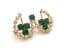 Vintage Irish Style Rhinestone Detailed Double Horseshoe And Shamrock Design Brooch