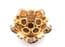 Vintage Large Abstract Floral Design Smoky Topaz Coloured Rhinestone Set Brooch By Sphinx