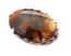 Vintage Large Celtic Style Marbled Porphyry Glass Statement Brooch By Miracle