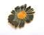 Vintage Large Cloisonne Enamel Black Flower Design Brooch