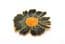 Vintage Large Cloisonne Enamel Black Flower Design Brooch