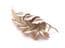 Vintage Large Coro Curving Leaf Design Statement Brooch