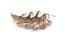 Vintage Large Coro Curving Leaf Design Statement Brooch