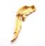Vintage Large Long Tailed Parrot Bird Design Enamel And Rhinestone Detailed Retro Style Brooch