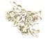 Vintage Large Marcasite Set Abstract Triple Flower Design Brooch.