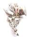 Vintage Large Marcasite Set Floral Design Statement Brooch