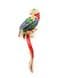 Vintage Large Parrot Long Tailed Bird Design Enamel And Rhinestone Detailed Retro Style Brooch