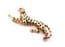 Vintage Long Leopard Big Cat Design Brooch
