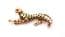 Vintage Long Leopard Big Cat Design Brooch