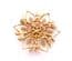 Vintage Sarah Coventry Peta Lure Floral Design Brooch