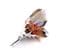 Vintage Scottish Style Large Stag Head And Pheasant Feather Design Brooch
