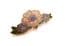 Vintage  Small Cloisonne Enamel Floral Design Brooch By Sea Gems