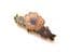 Vintage  Small Cloisonne Enamel Floral Design Brooch By Sea Gems
