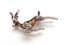 Vintage Small Enamel And Marcasite Leaping Deer Design Brooch By BJL