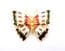 Vintage White Cloisonne Enamel Butterfly Design Retro Brooch