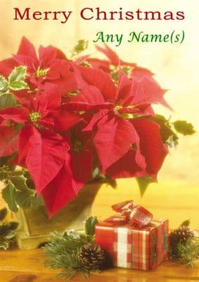Add A Name Christmas - Poinsettia and Present