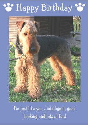 Airedale Terrier