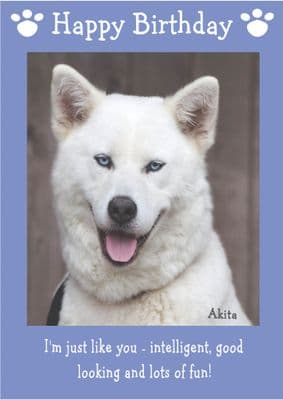 Akita
