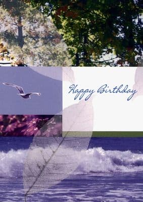 Birthday - Adult - Beach Scene