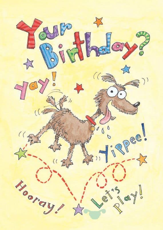 Birthday - Child - Frantic Dog