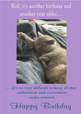 Birthday Enthusiasm Of Cat