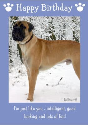 Bullmastiff