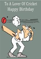 Cricket-Birthday 1