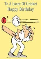 Cricket-Birthday 1