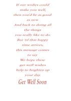 Get Well - Adult - Flower Pots